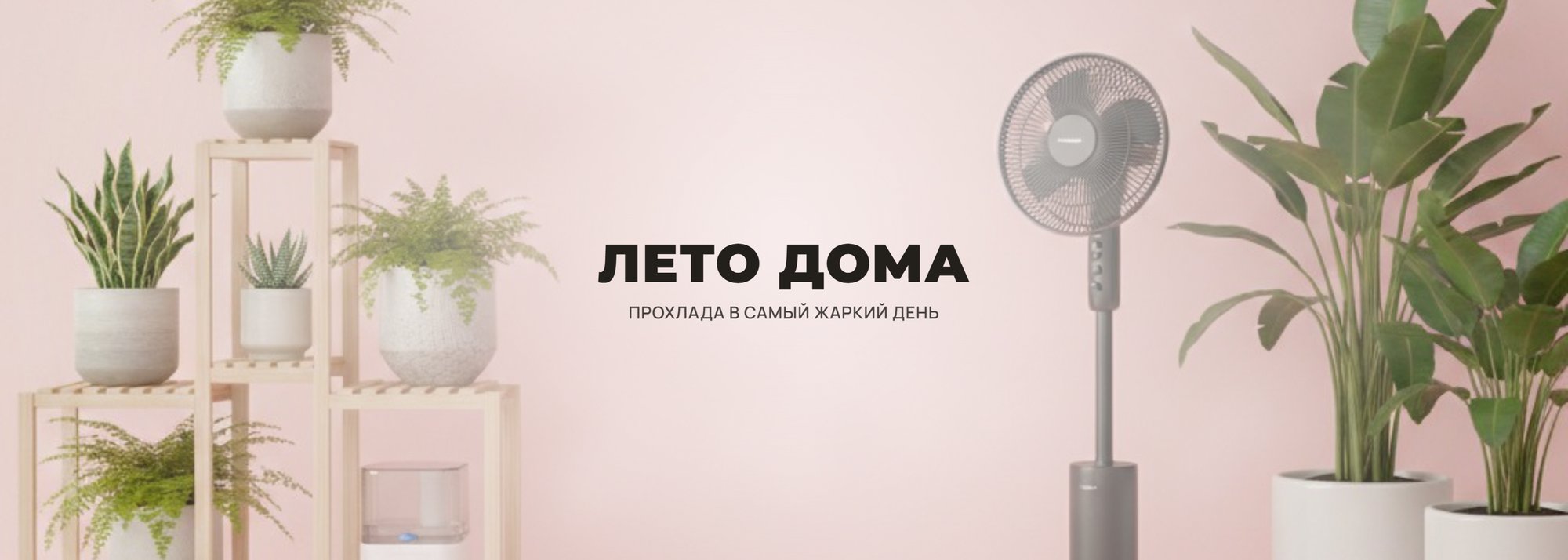 Лето дома