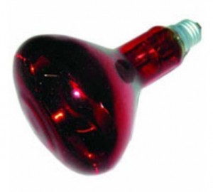 Лампа ИКЗК 250W E27 220-225-250 R127 СБ Логистик