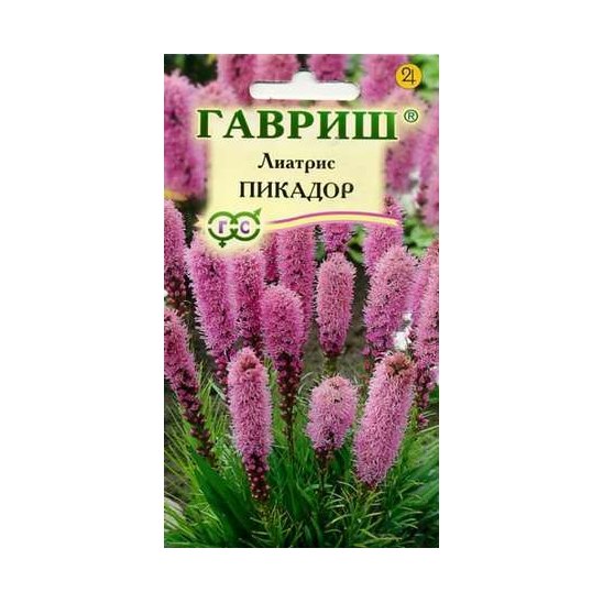 Лиатрис Пурпурная свеча 0,1г Аэлита