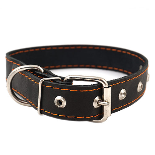 Ошейник 30мм одинарная кожа