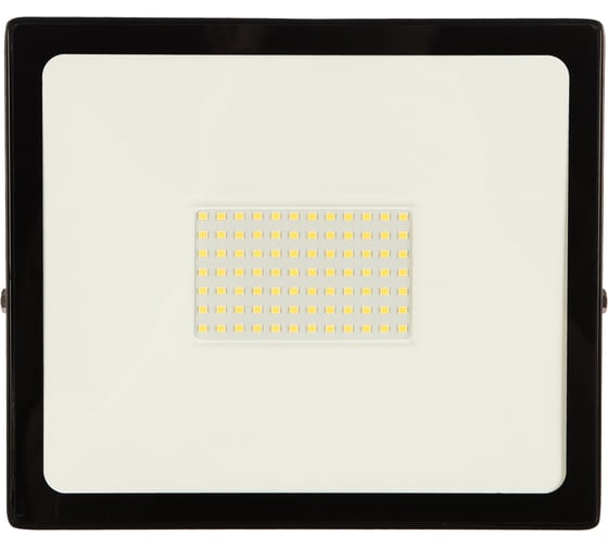 Прожектор Светодиодный (LED) FL SMD LIGHT Smartbuy-100W/6500K/IP65