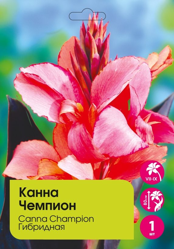 Канна Чемпион 1 шт