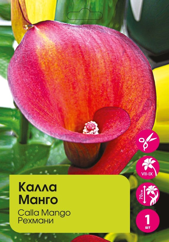 Калла Манго 1шт