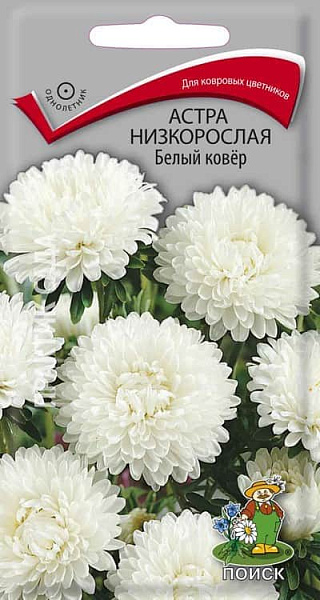 Семена астра низкорослая Белый ковер (0,2г)