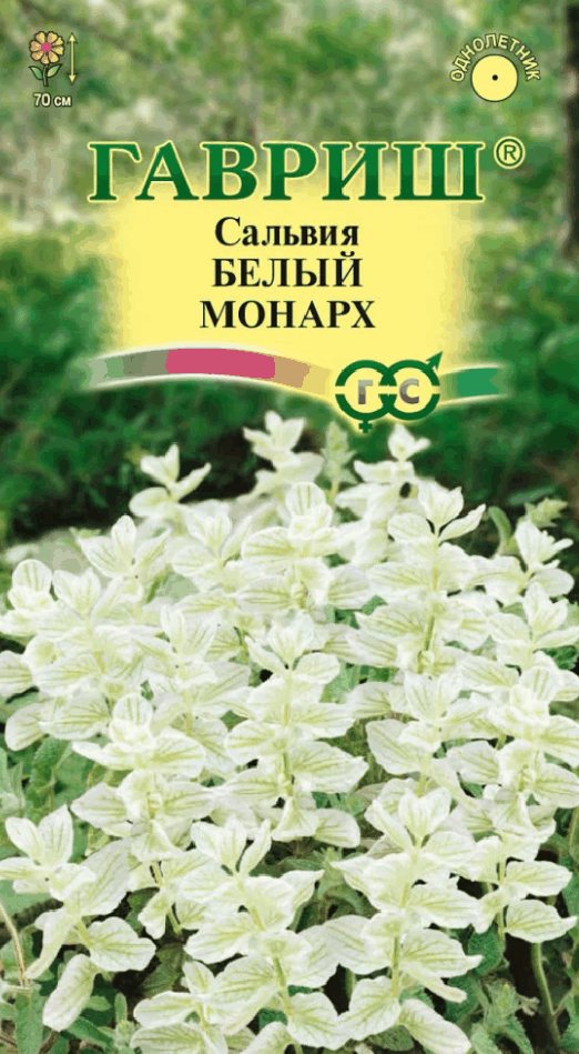 Краска колеровочная Сальвия Белый монарх (0,05г)