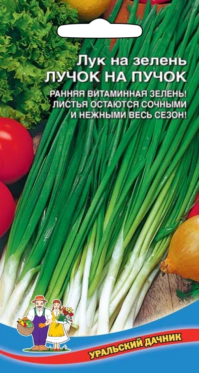 Лук на зелень Лучок на пучок 0,25гр LISTOK