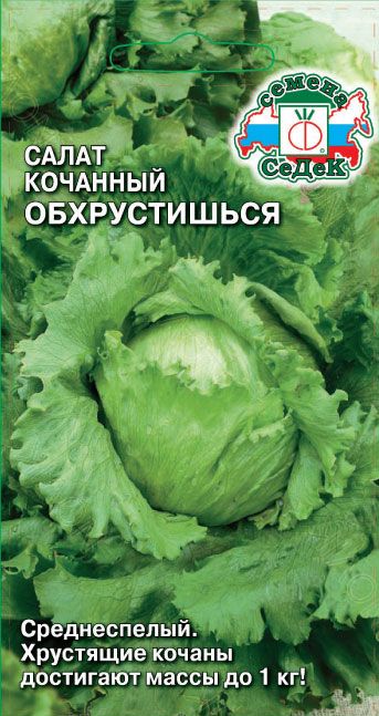 Салат Айсберг кочанный  обхрустишься