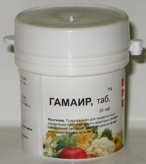 ГАМАИР таб 20 шт