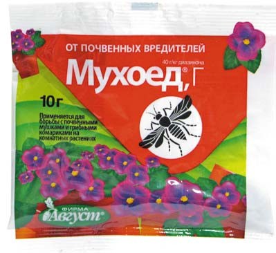 Мухоед 10 г Август