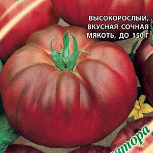 Томат Арбуз Мязина