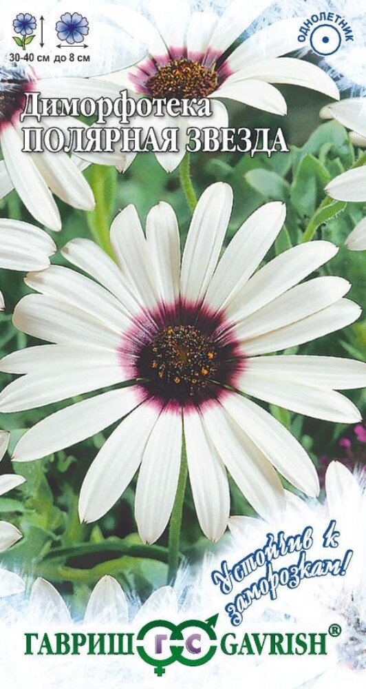 Диморфотека Полярная звезда