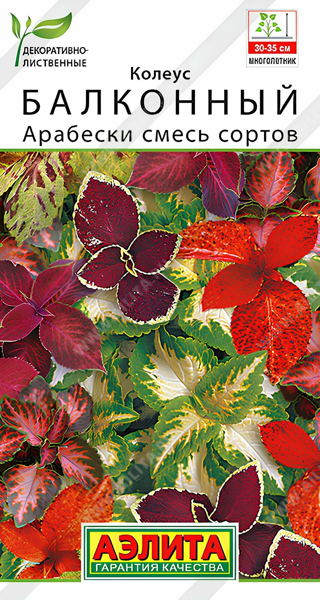 Колеус Арабески смесь сортов 5шт Аэлита