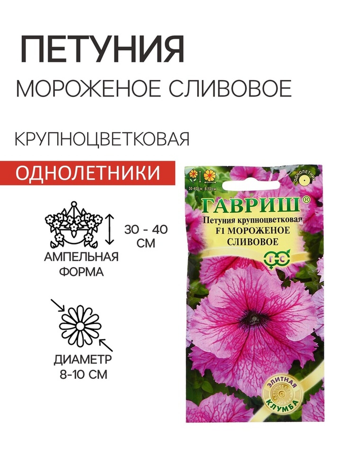 Петуния Мороженое сливовое 5шт