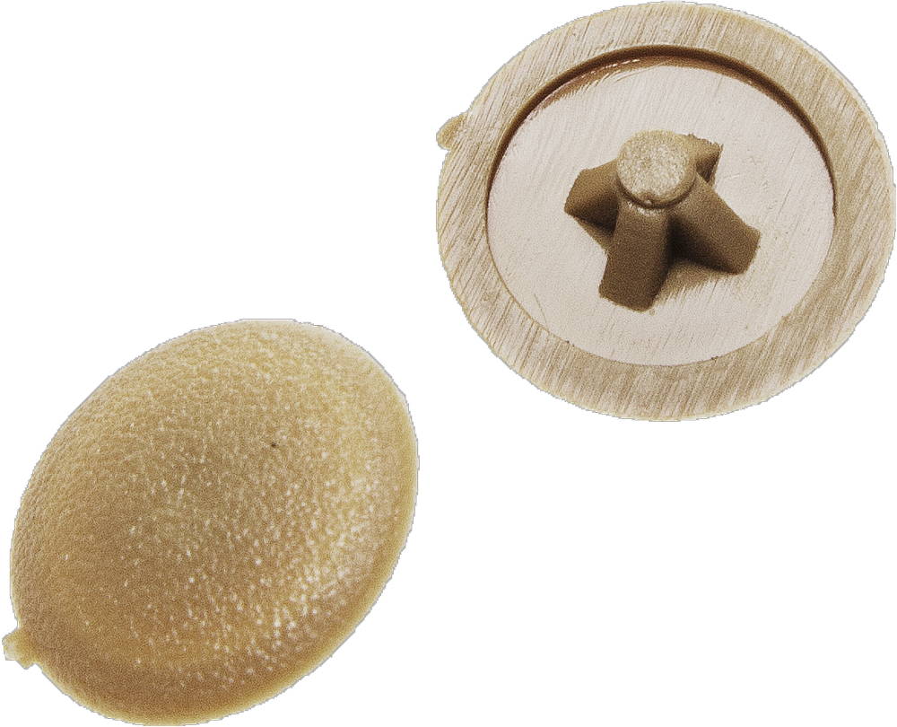 Заглушка декоративная под шуруп, сосна шлиц №2, 40шт ЗУБР