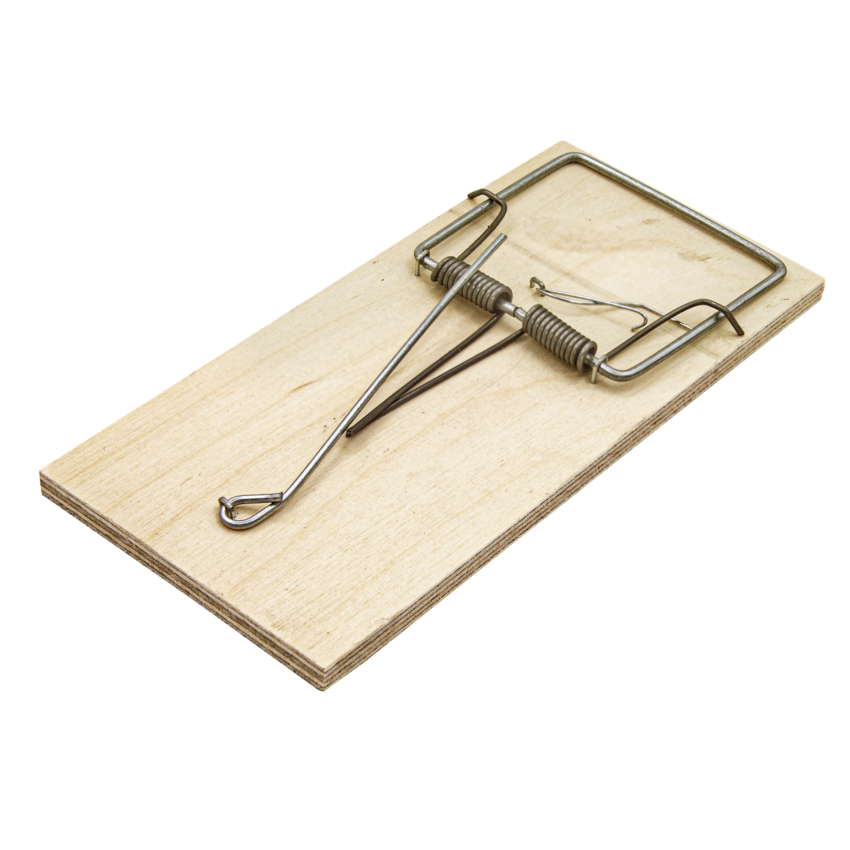 Мышеловка дерев.