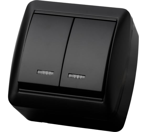 Выключатель 2-ключ открытой установки IP44 10 А графит "Селигер" TDM