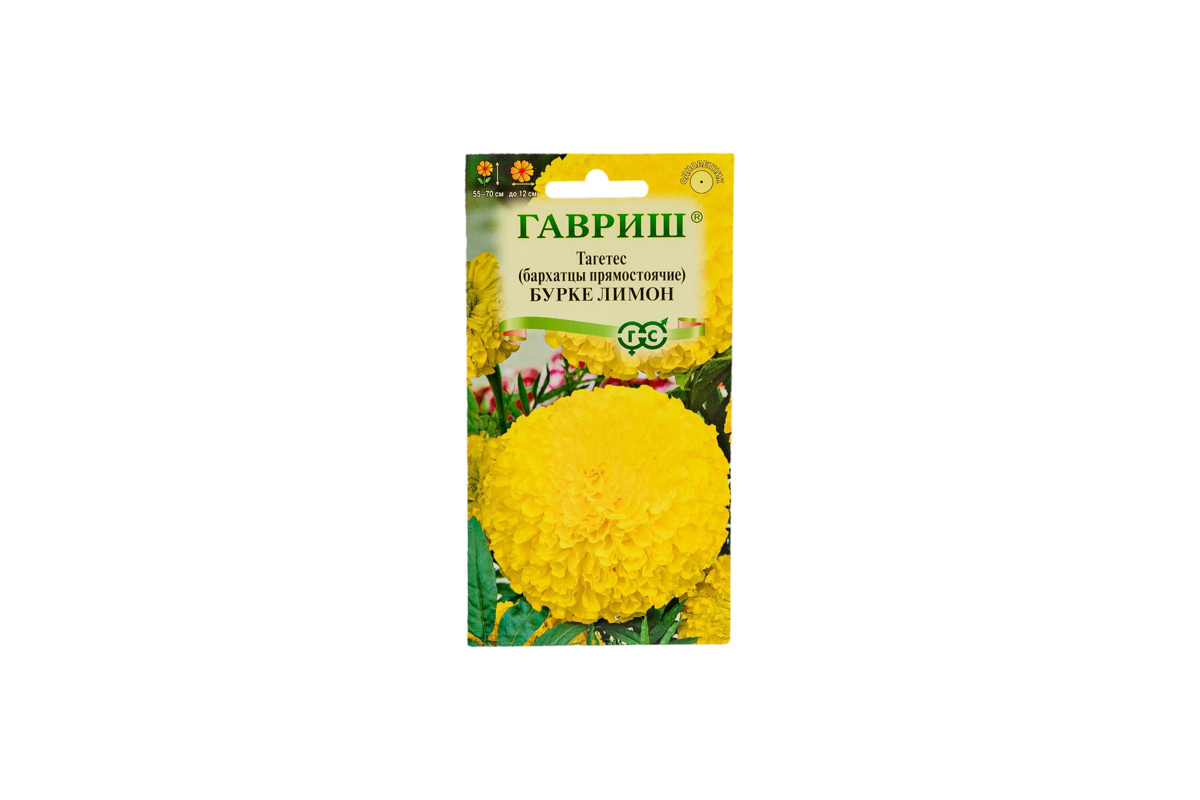 Бархатцы Буркле лимон прямой 0,3 г гавриш