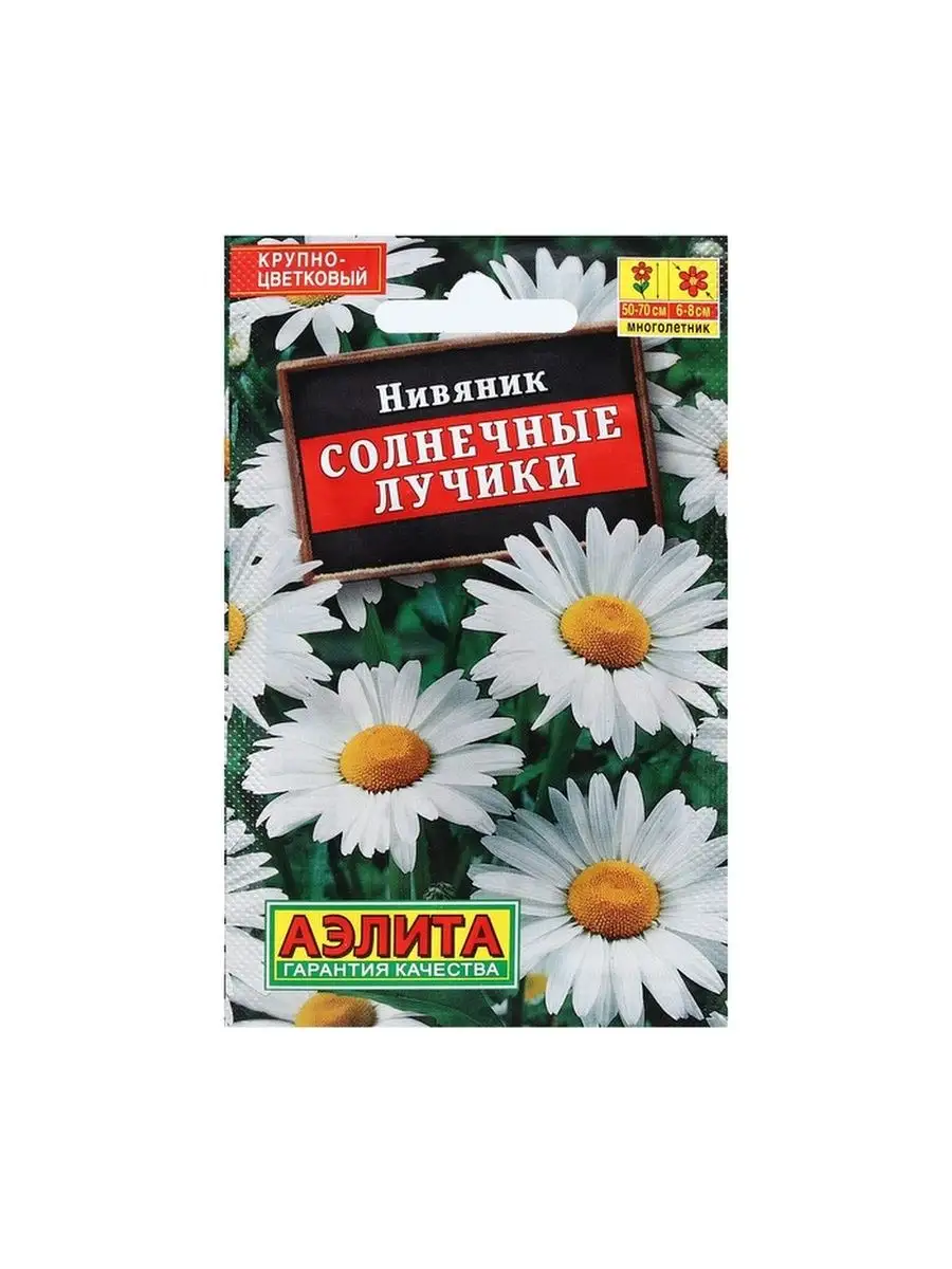 Нивяник Солнечные лучики