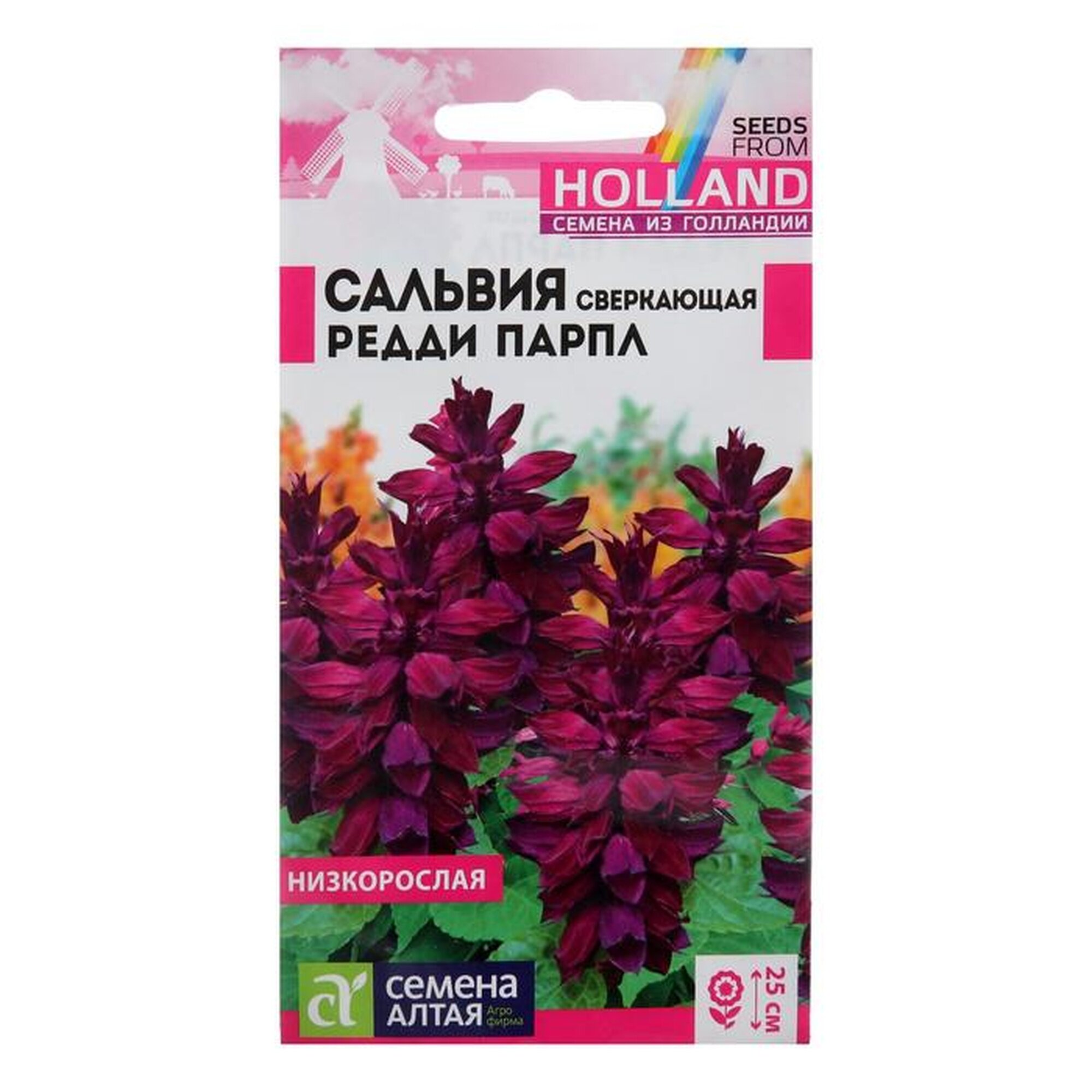 Сальвия Редди Парпл 10шт ПЦцп