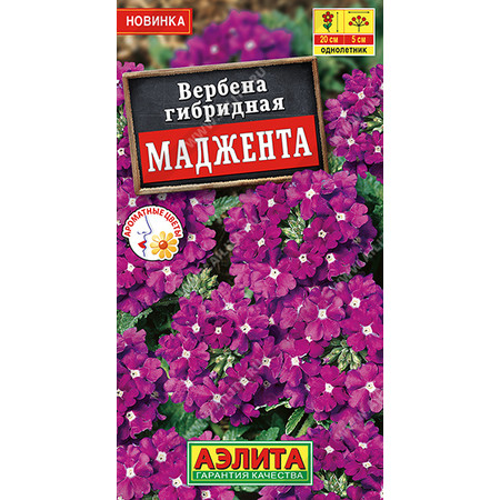 Вербена Маджента 0,1гр ПЦц Аэлита