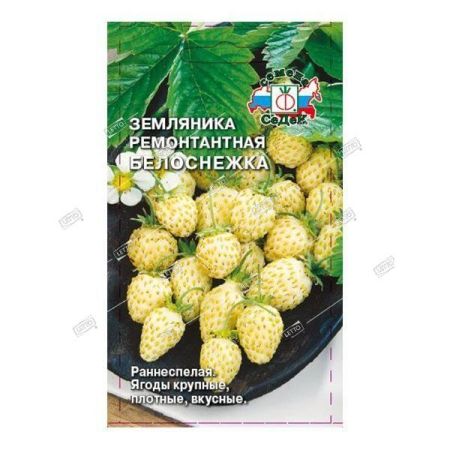 Земляника Белоснежка 0,04гр СеДеК