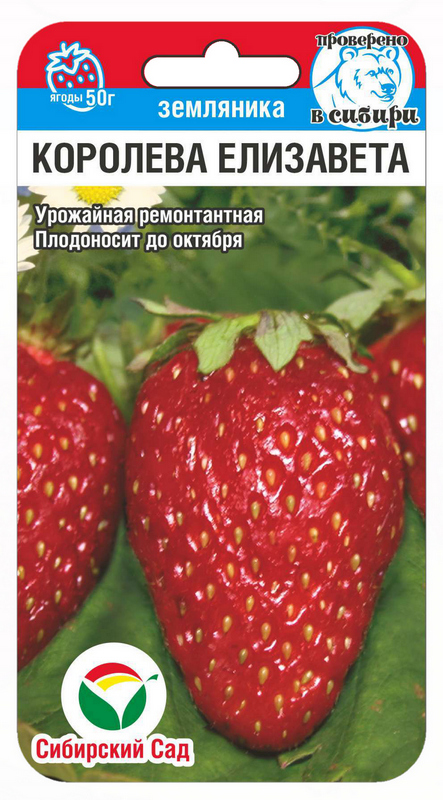 Земляника Королева Елизавета 10шт Сибирский сад