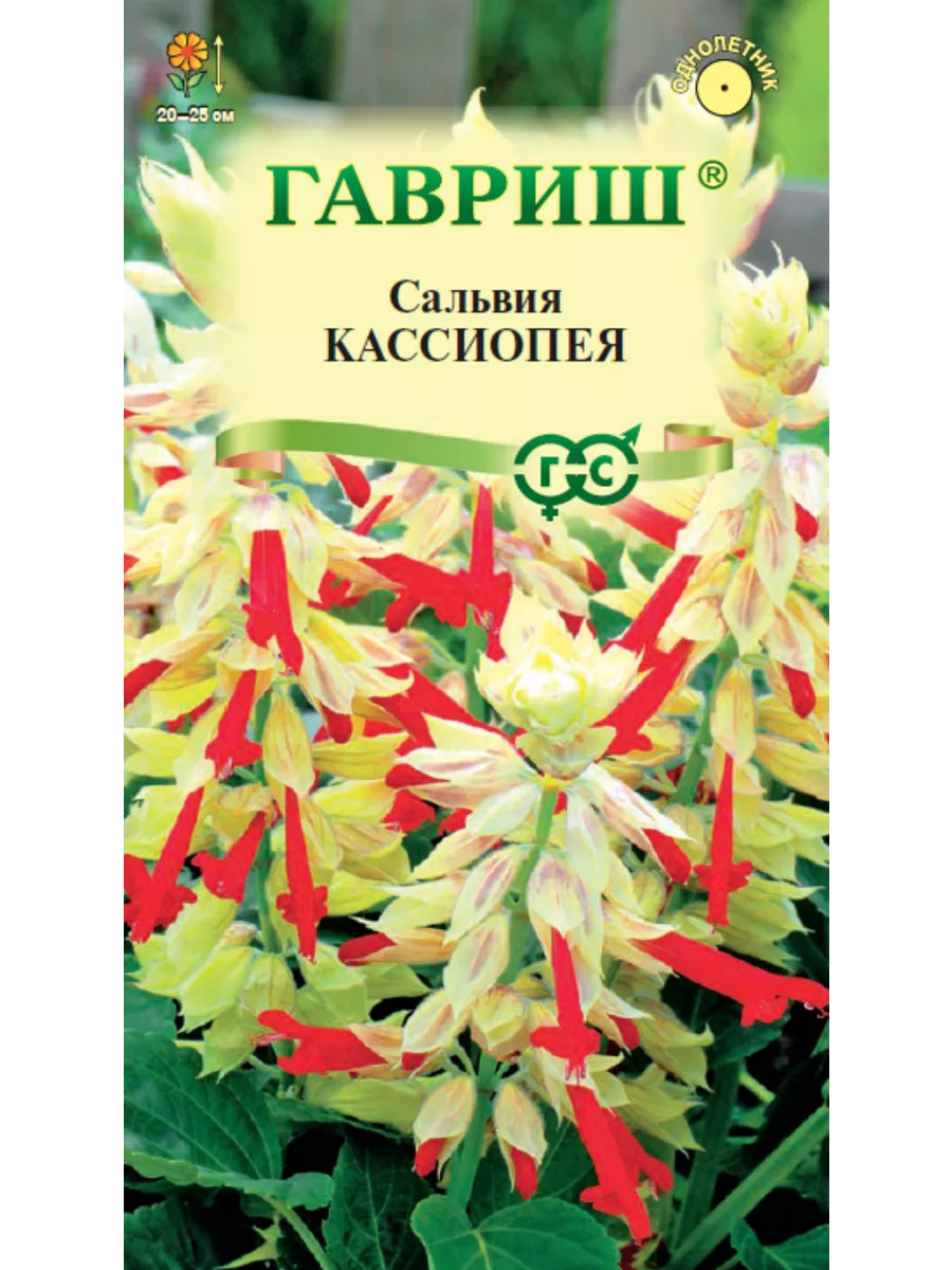 Сальвия Кассиопея карликовая /5 шт желто/красная Гавриш