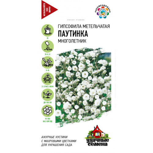Гипсофила Паутинка метельчатая 0,05 г УС Ц Гавриш
