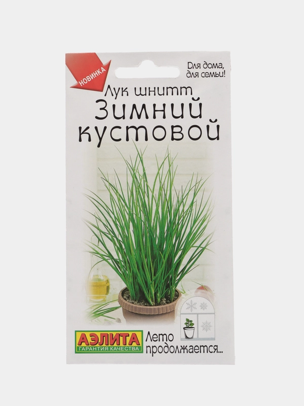 Лук шнитт зимний кустовой