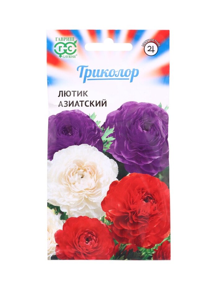 Лютик/Ранункулюс азиатский триколор 3шт