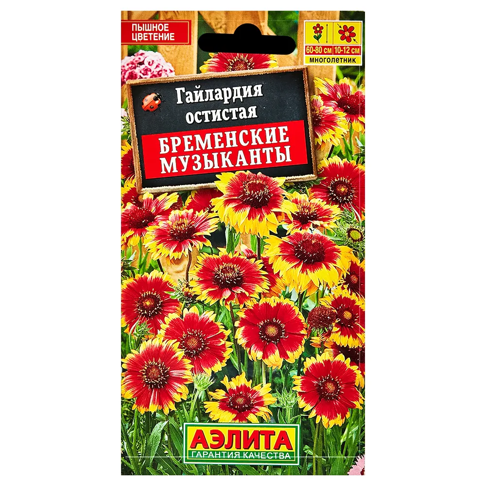Гайлардия  остистая Бременские музыканты