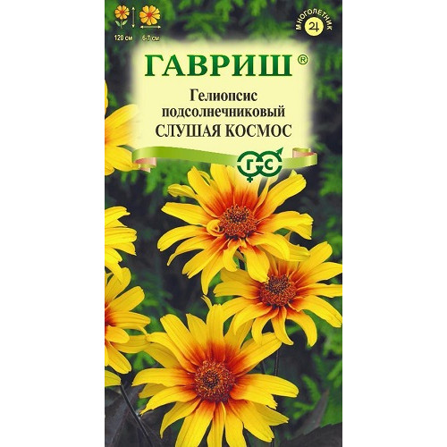 Гелиопсис подсолнечковый Слушая Космос