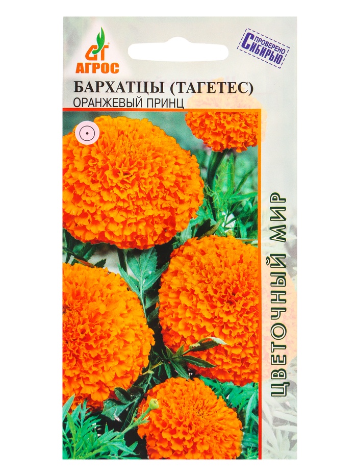 Бархатцы Оранжевый принц