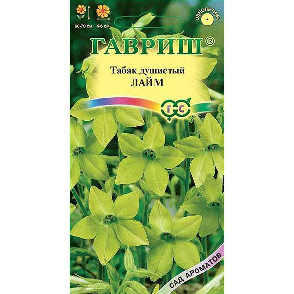 Табак душистый Лайм гавриш