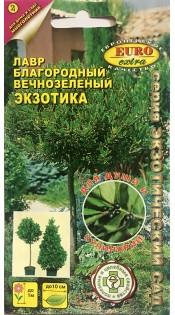 Лавр экзотика вечнозеленый 0,5-1,5/10, Аэлита цв. ув. п.