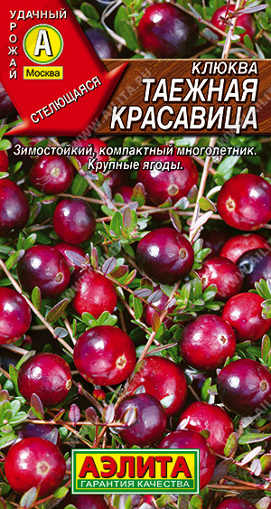 Клюква крупноплодная Таежная красавица 0,02гр Аэлита