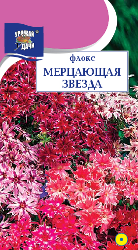 Флокс Мерцающая звезда 0,2гр ПЦц