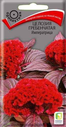 Целозия Императрица гребенчатая 0,1гр ПЦц
