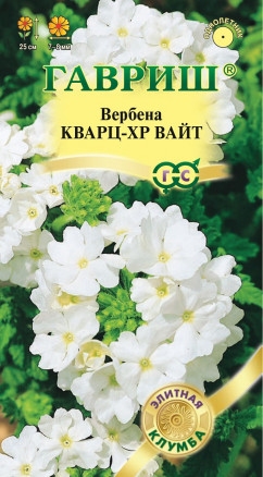 Вербена Кварц ХР Вайт гибридная 5шт ГШцветы