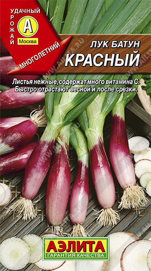 Лук батун Красный Факел, 0.3 г, 10 штук, Аэлита