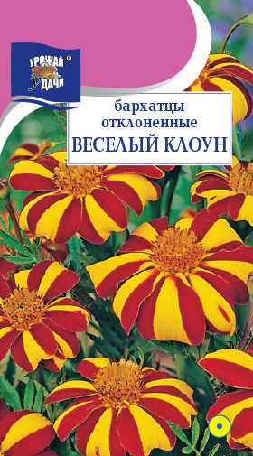 Бархатцы Веселый клоун махровый, 0.1 г, Аэлита цветная
