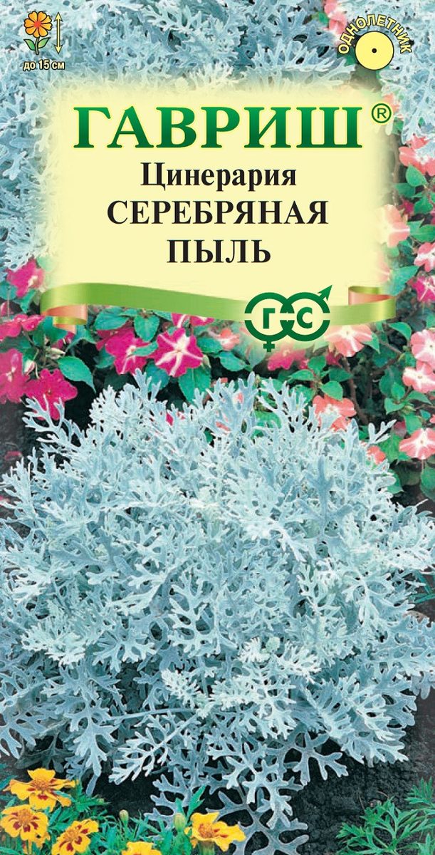Цинерария Серебряная пыль 0,1гр/20, ГШцветы АА