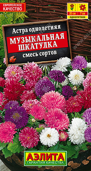 Астра Музыкальная шкатулка