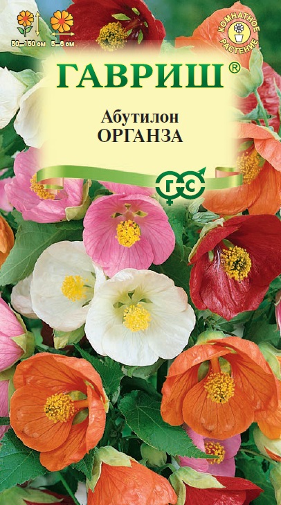 Абутилон Органза смесь 10шт/20, ГШцветы СС