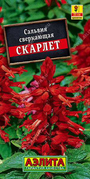 Сальвия Сверкающая Скарлет 0,3гр  /10 ПЦц АА Спецпредложение