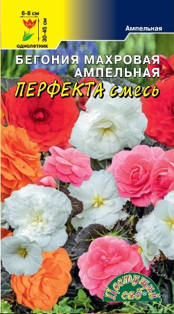Бегония ампельная Перфекта смесь 10шт