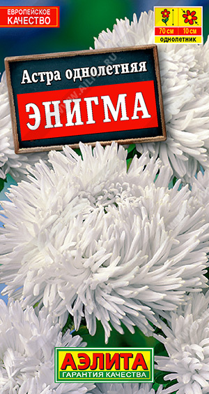 Астра Энигма коготковая, 0.3 г, 10 штук, Аэлита цветная