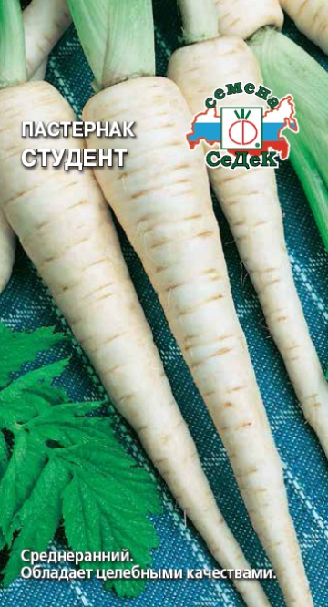 Пастернак Студент 1гр /10 СеДеК СС
