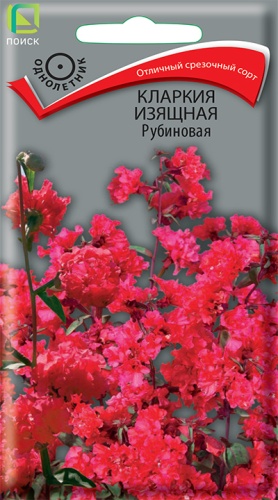 Кларкия изящная Рубиновая 0,2гр ПЦц