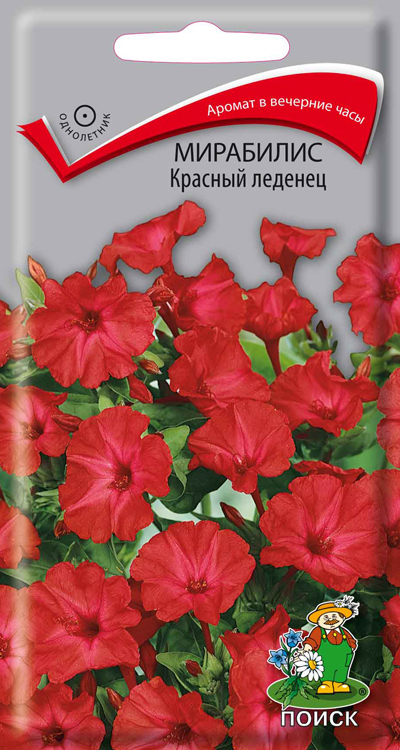 Мирабилис Красный леденец 1гр ПЦц